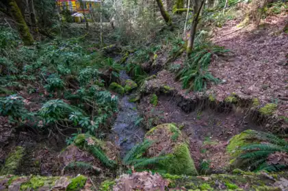 Outdoor Patio Photo of 2564 Montague Road, Galiano Island, BC