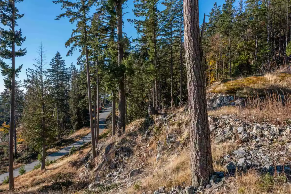Breakfast Nook Photo of 814 Mcintosh Lane, Bowen Island, BC