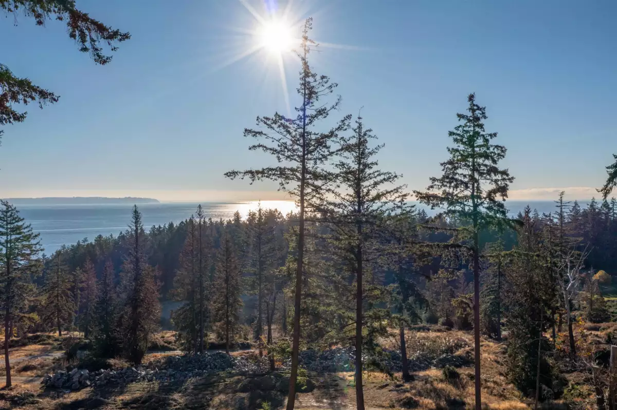 Kitchen Photo of 814 Mcintosh Lane, Bowen Island, BC