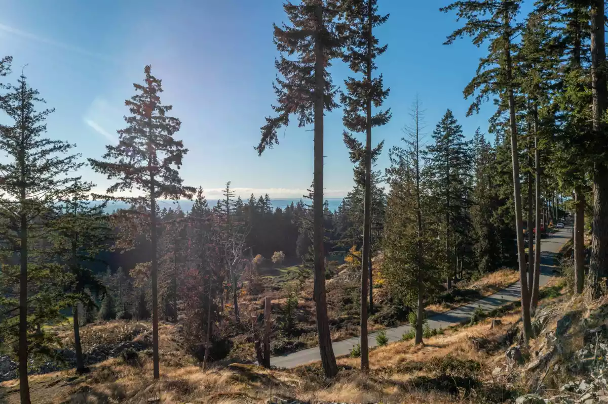 Pantry Photo of 814 Mcintosh Lane, Bowen Island, BC