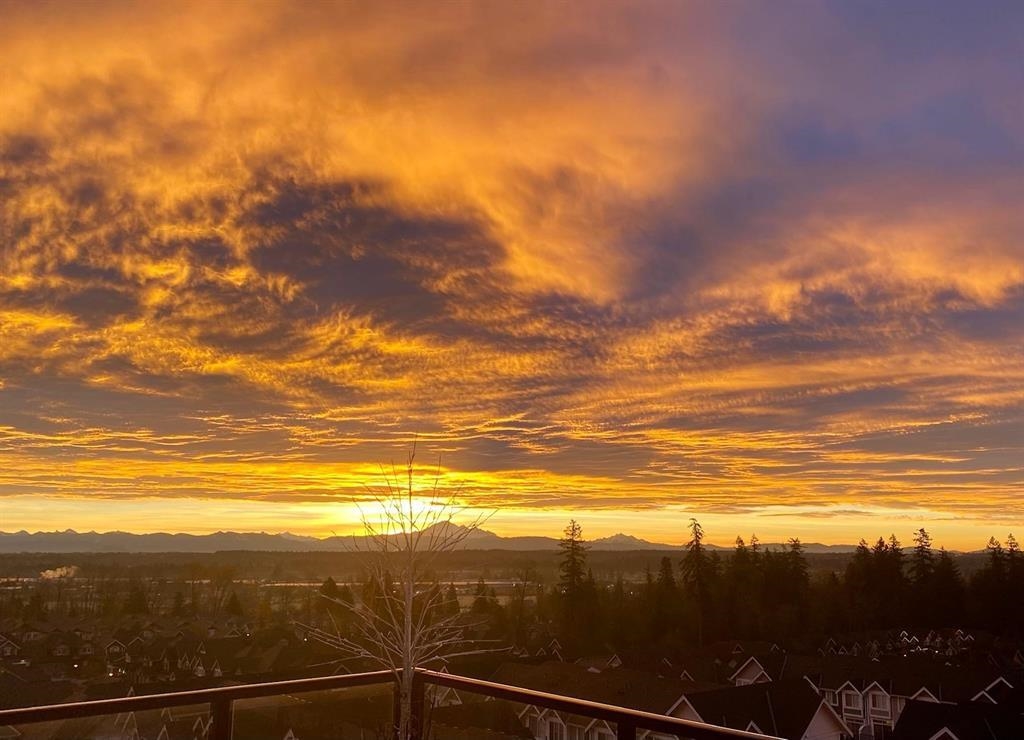 Playground / Recreational Area Near 501 20826 72 Avenue, Langley, BC