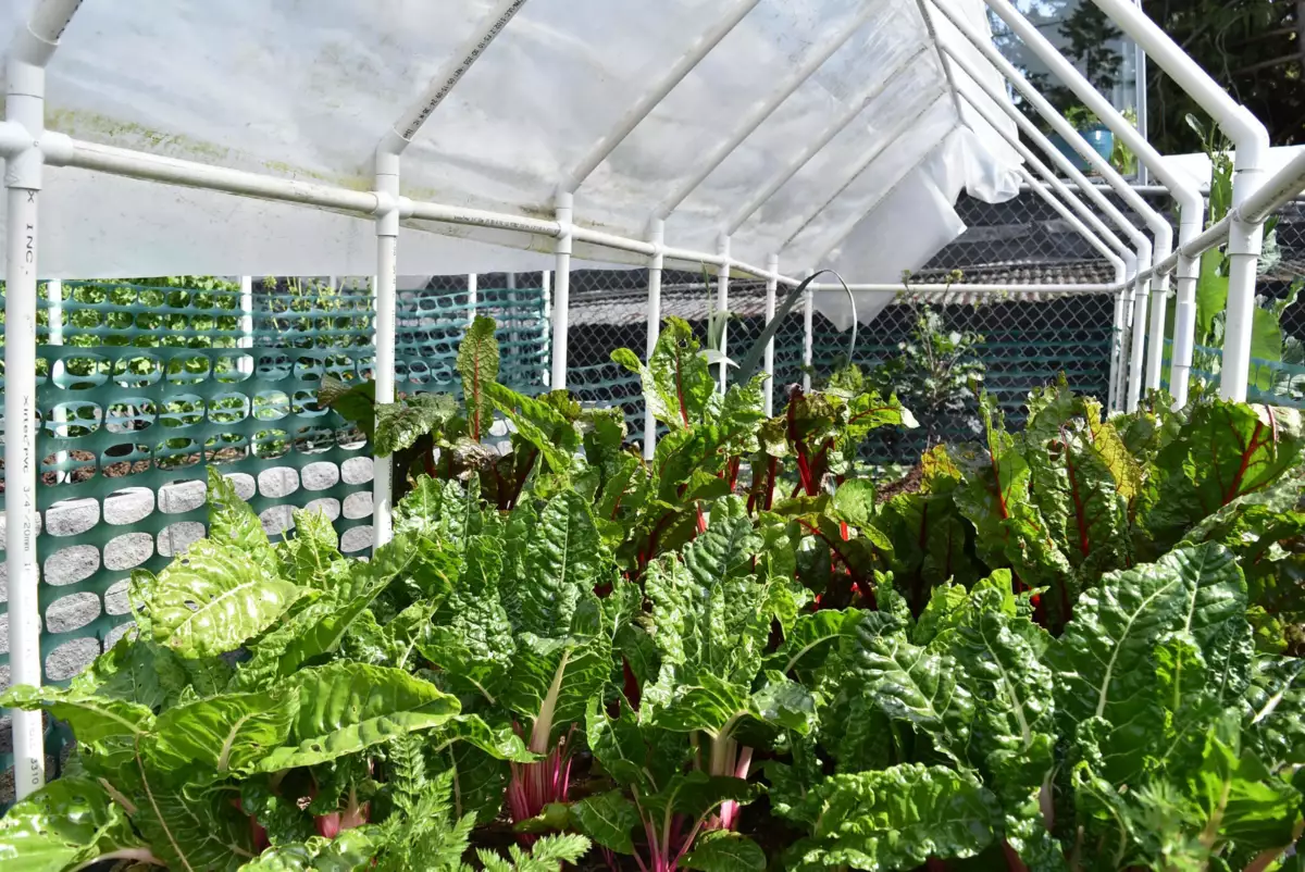 Aerial View of 6166 Norwest Bay Road, Sechelt, BC