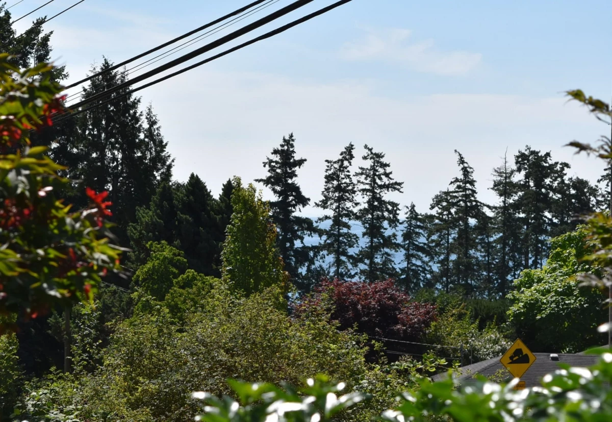 Community Amenities Photo (Clubhouse) of 6166 Norwest Bay Road, Sechelt, BC