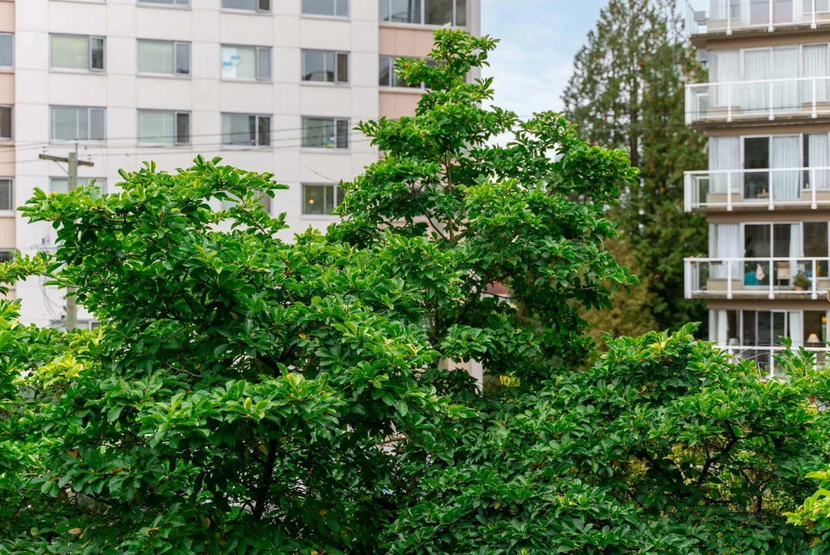 Front Yard Photo of 304 1928 Nelson Street, Vancouver, BC