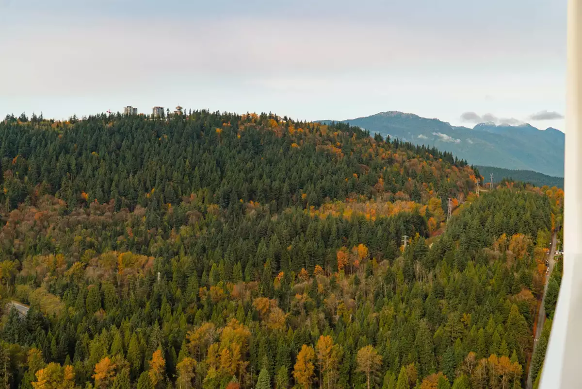 Garden / Landscaping Photo of 4007 720 Farrow Street, Coquitlam, BC