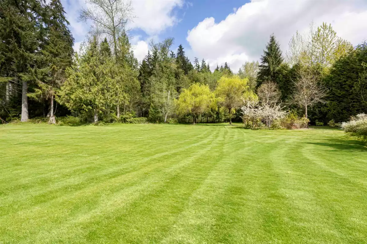 Neighborhood Park Photo Near 13046 250 Street, Maple Ridge, BC