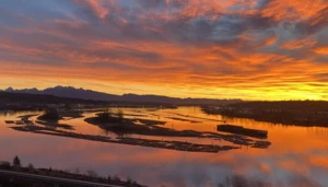 1703 71 Jamieson Court, New Westminster, BC