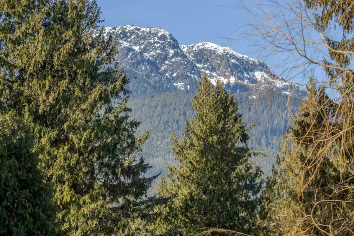 Dining Area Photo of 73 1830 Mamquam Road, Squamish, BC