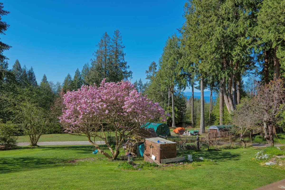 Dining Area Photo of 1106 A & B Gladwin Trail Road, Roberts Creek, BC