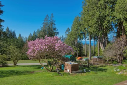 1106 A & B Gladwin Trail Road, Roberts Creek, BC, Roberts Creek — Single Family Residence for sale