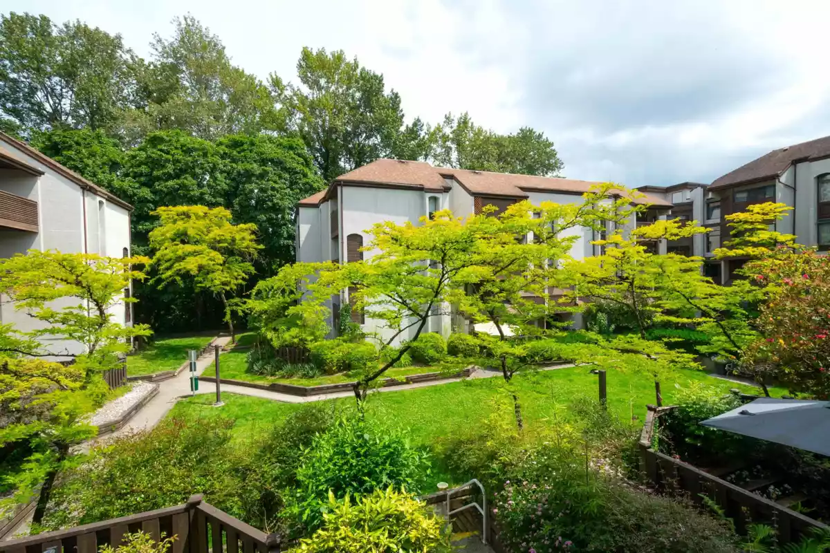 Garage Interior Photo of 8 385 Ginger Drive, New Westminster, BC