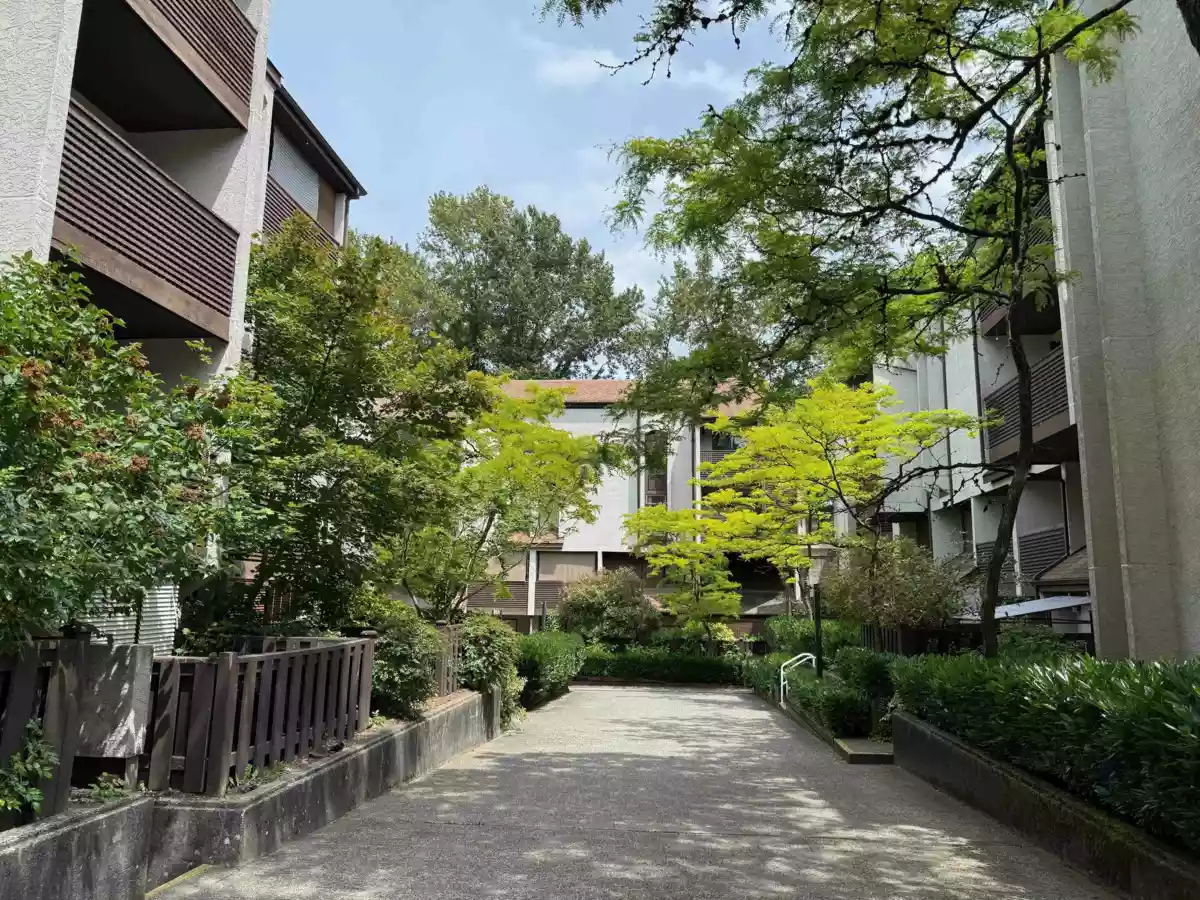 Neighborhood Park Photo Near 8 385 Ginger Drive, New Westminster, BC