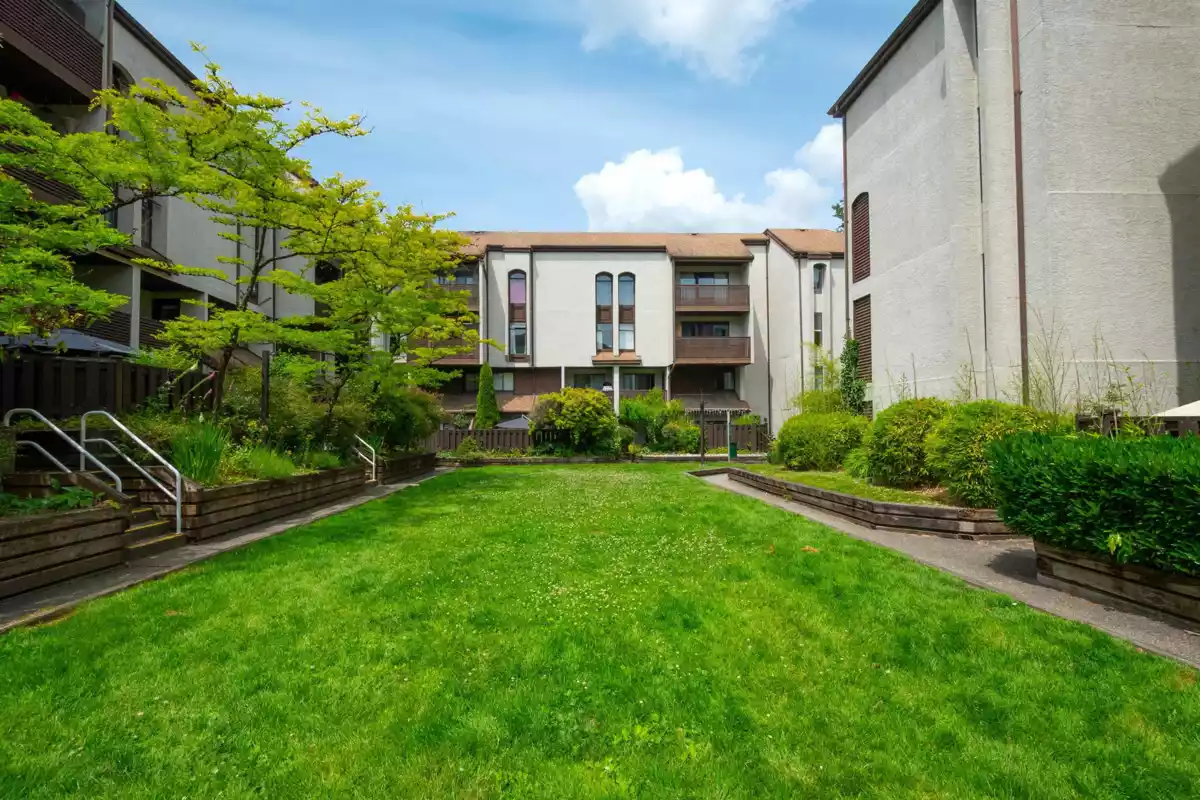 Outdoor Kitchen Photo of 8 385 Ginger Drive, New Westminster, BC