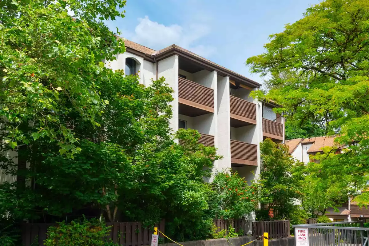 Street View Photo of 8 385 Ginger Drive, New Westminster, BC