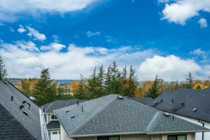 Front Yard Photo of 40 4295 Old Clayburn Road, Abbotsford, BC