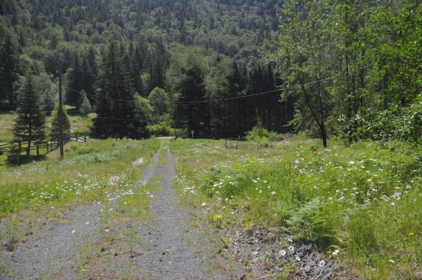 43751 Frost Road, Columbia Valley, BC, Columbia Valley — Land for sale