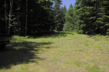 43751 Frost Road, Columbia Valley, BC, Columbia Valley — Land for sale