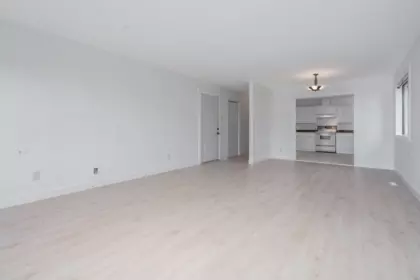 Kitchen Photo of 3363 271a Street, Langley, BC
