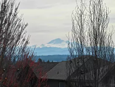 Neighborhood Park Photo Near 19688 70a Avenue, Langley, BC