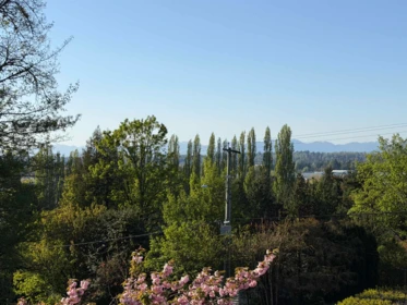Community Amenities Photo (Clubhouse) of 21735 47b Avenue, Langley, BC