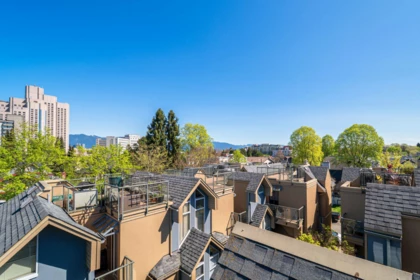 Garden / Landscaping Photo of 3033 Laurel Street, Vancouver, BC