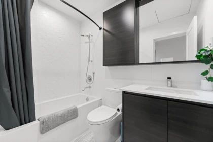 Walk-In Closet Photo of 621 3131 Murray Street, Port Moody, BC
