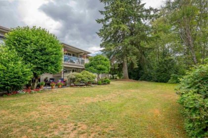 Aerial View of 23 12071 232b Street, Maple Ridge, BC