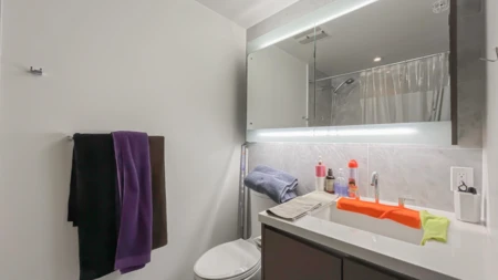 Walk-In Closet Photo of 805 68 Smithe Street, Vancouver, BC