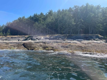 Lot 1 Valdes Island, No City Value, BC, No City Value — Land for sale