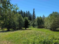 26713 96 Avenue, Maple Ridge, BC