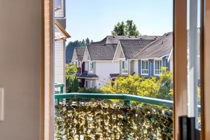 Backyard Photo of 306 1650 Grant Avenue, Port Coquitlam, BC