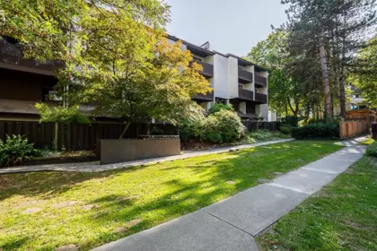 Garden / Landscaping Photo of 410 385 Ginger Drive, New Westminster, BC