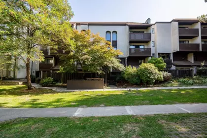 Swimming Pool Photo of 410 385 Ginger Drive, New Westminster, BC