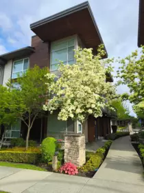 Hot Tub / Spa Photo of 79 16222 23a Avenue, Surrey, BC