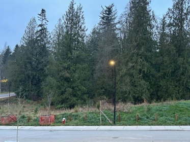 Neighborhood Park Photo Near 11022 241a Street, Maple Ridge, BC
