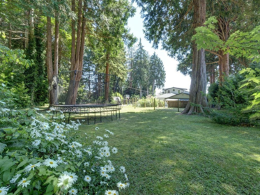 Street View Photo of 3177 Beach Avenue, Roberts Creek, BC