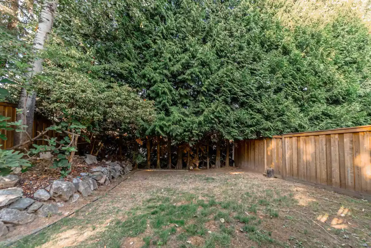 Fitness Center Photo Near 31 3075 Trethewey Street, Abbotsford, BC