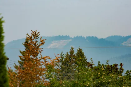 847 E 13th Street, North Vancouver, BC, North Vancouver — Single Family Residence for sale
