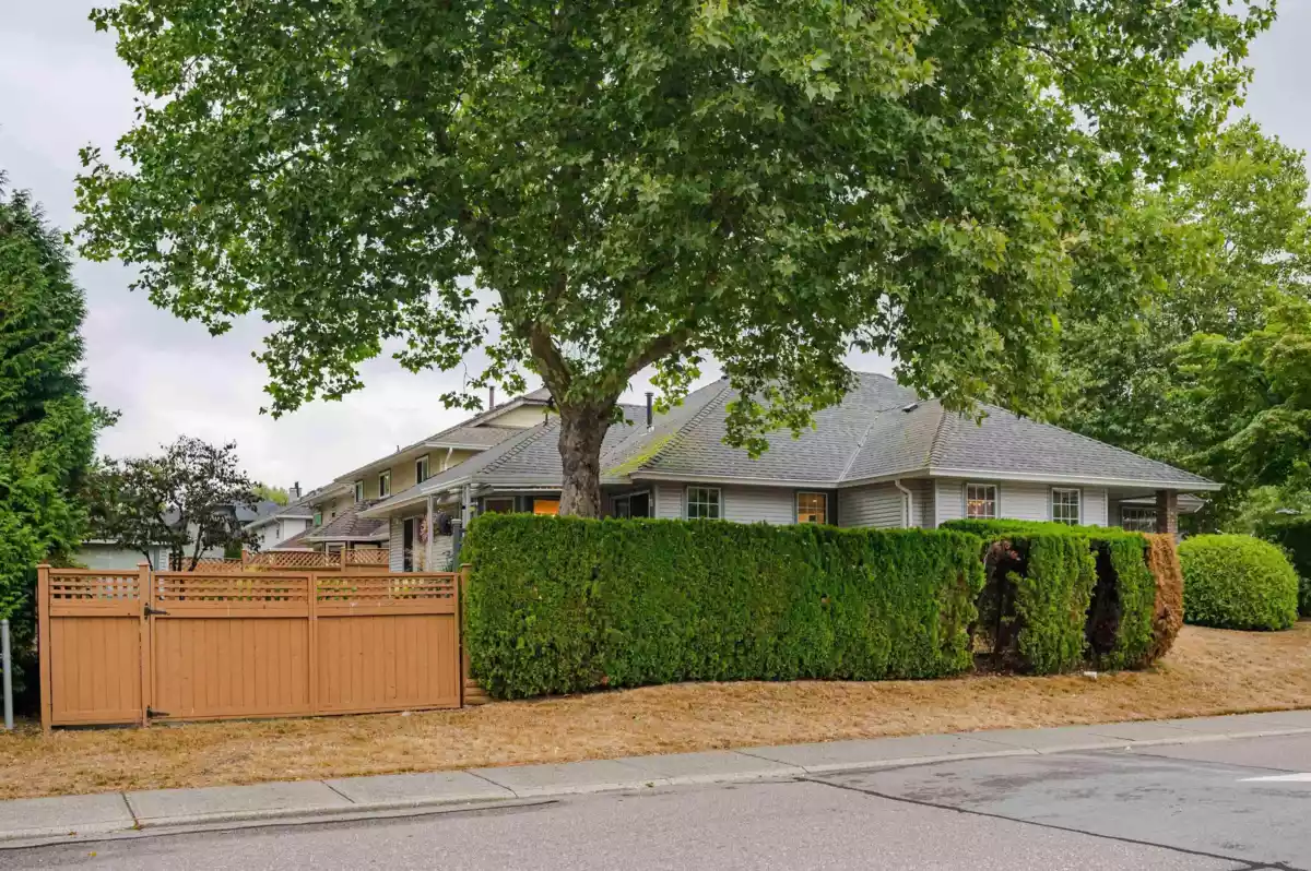 Outdoor Kitchen Photo of 8459 142a Street, Surrey, BC