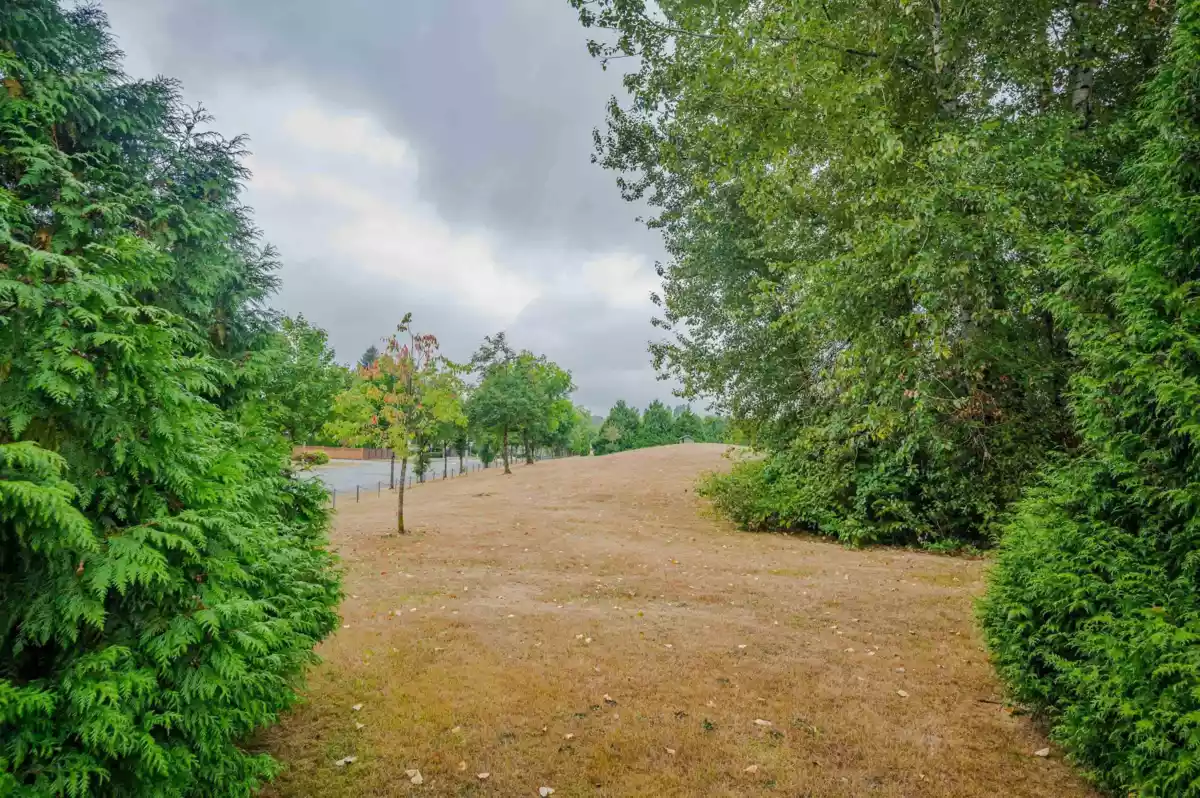 Swimming Pool Photo of 8459 142a Street, Surrey, BC
