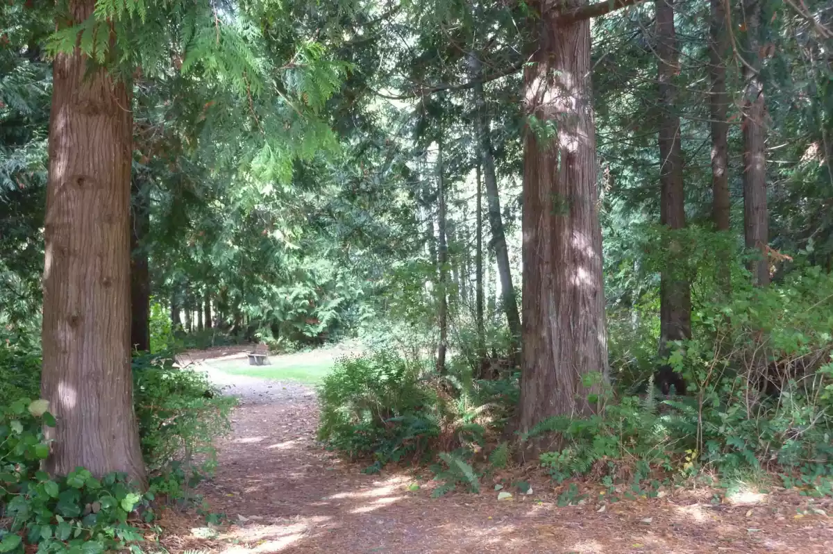 Neighborhood Park Photo Near 5642 Nickerson Road, Sechelt, BC