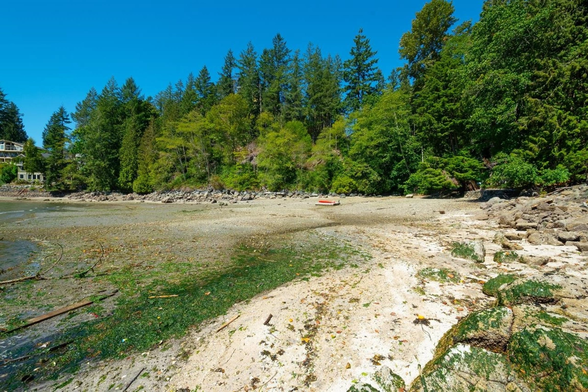 Basement Recreation Room Photo of 4855 Belcarra Bay Road, Port Moody, BC