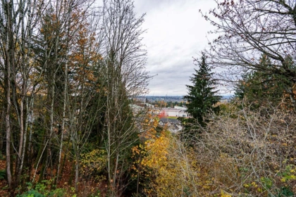 Aerial View of 3669 Bulkley Street, Abbotsford, BC