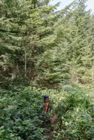 Outdoor Deck Photo of Lot 33 Fircom Plateau, Gambier Island, BC