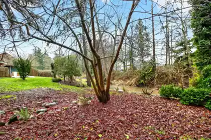 Neighborhood Park Photo Near 1174 176 Street, Surrey, BC