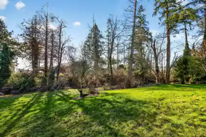 Outdoor Kitchen Photo of 1174 176 Street, Surrey, BC