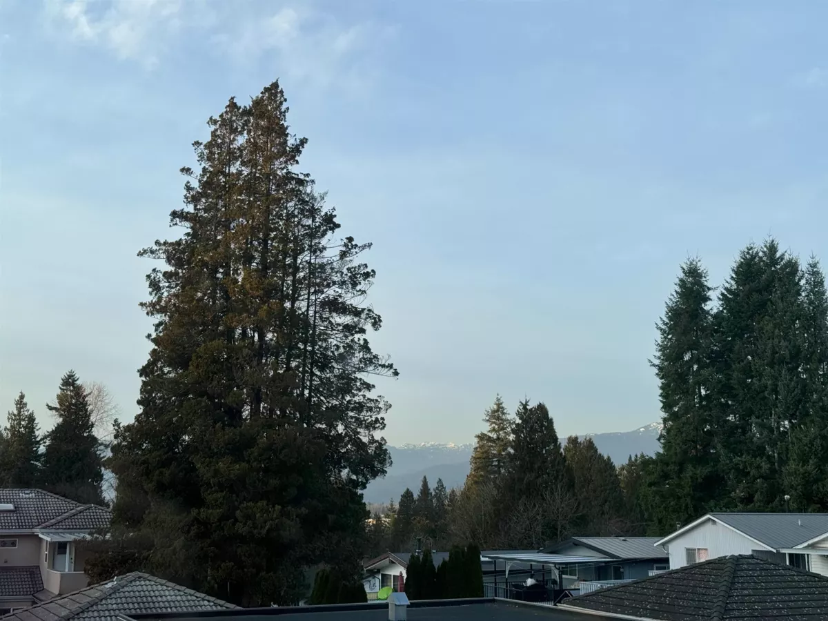 Bedroom 3 Photo of 8163 18th Avenue, Burnaby, BC