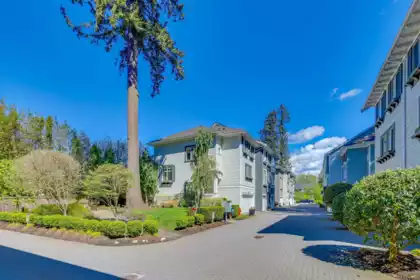 Swimming Pool Photo of 19 253 171 Street, Surrey, BC