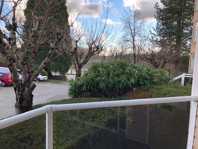 Bedroom 3 Photo of 126 22611 116 Avenue, Maple Ridge, BC