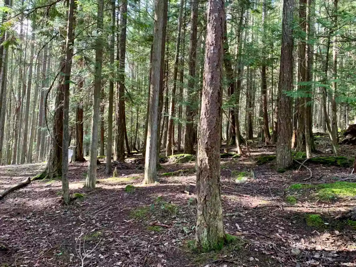 Garden / Landscaping Photo of 10 776 Wilks Road, Mayne Island, BC